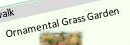 Ornamental Grasses