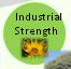 Industrial Strength
