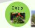 Oasis Garden