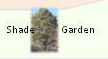 Shade Garden