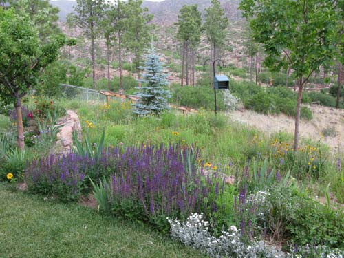 2008 Garden Tour