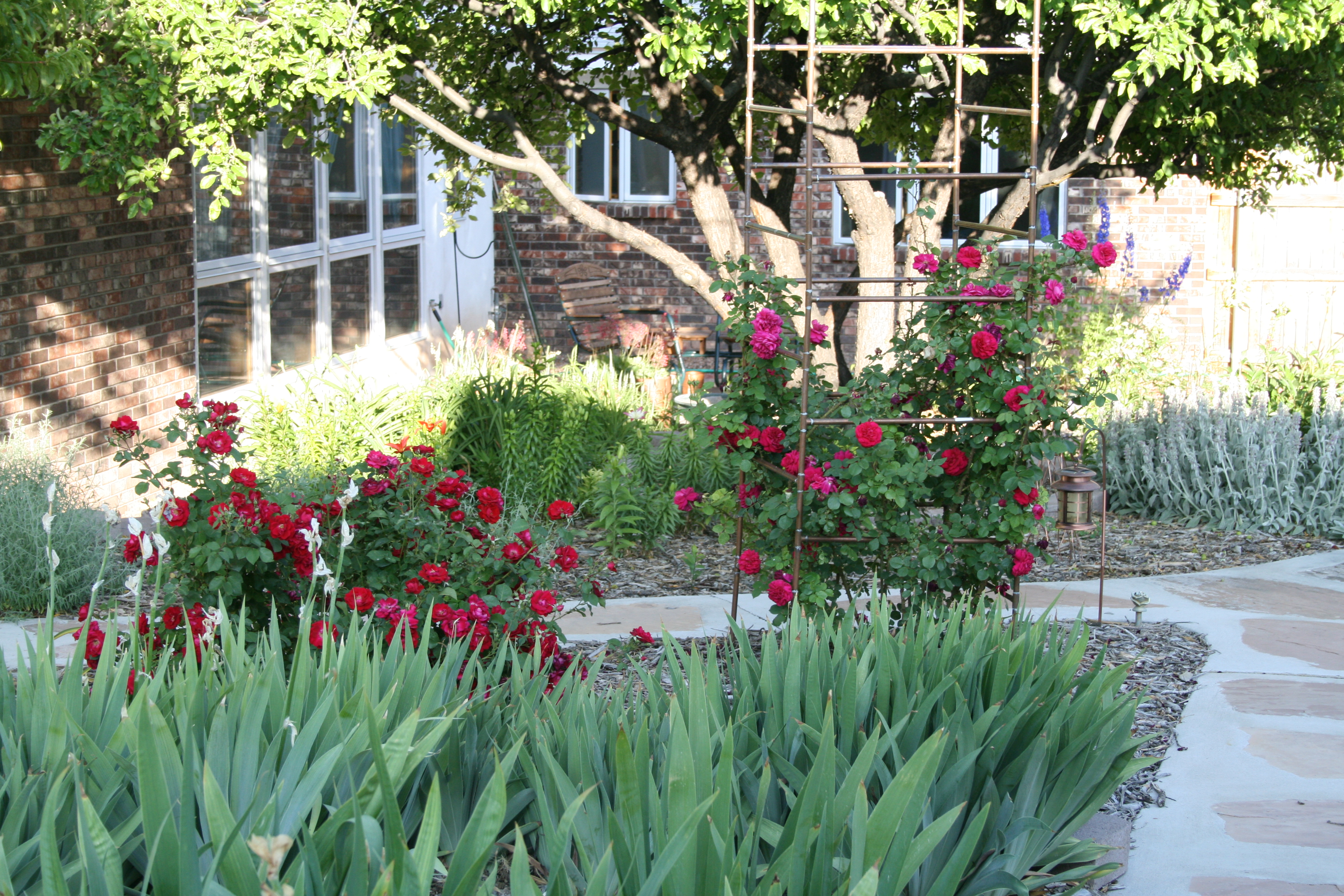 2008 Garden Tour
