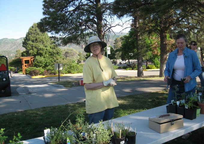 Plant Sale