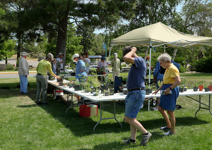 Plant Sale