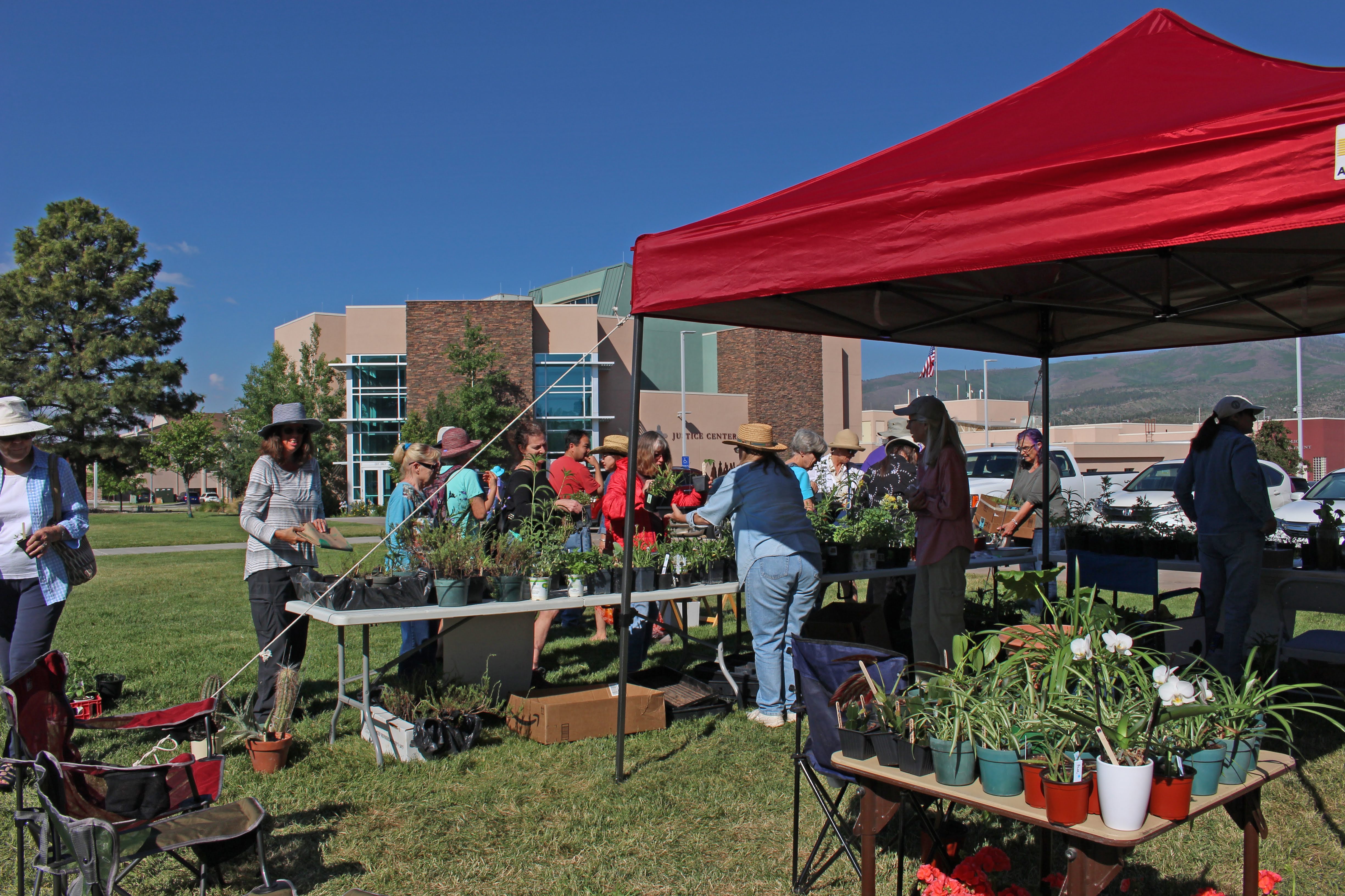 03.LAMGGardenFair2019M
