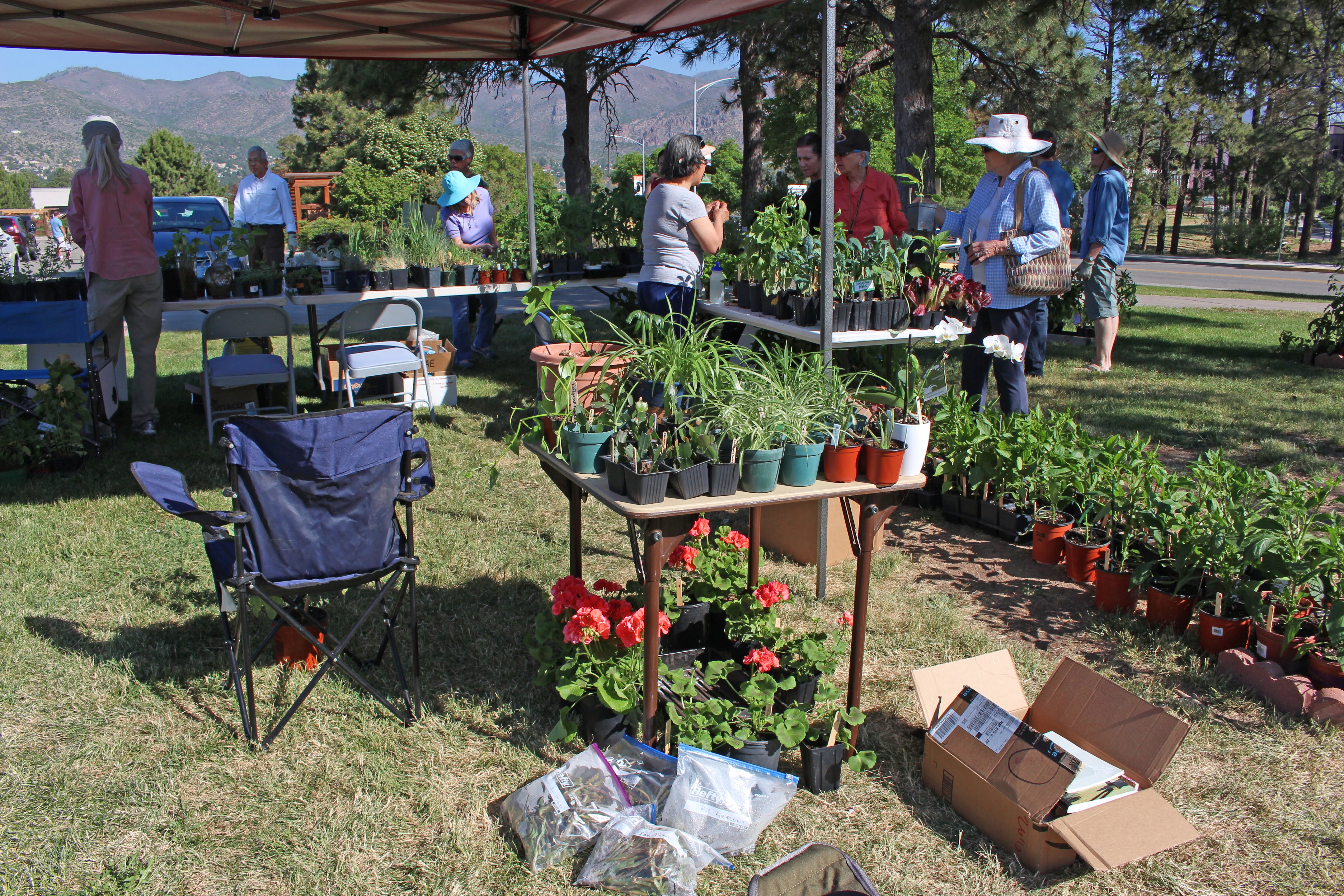 04.LAMGGardenFair2019M