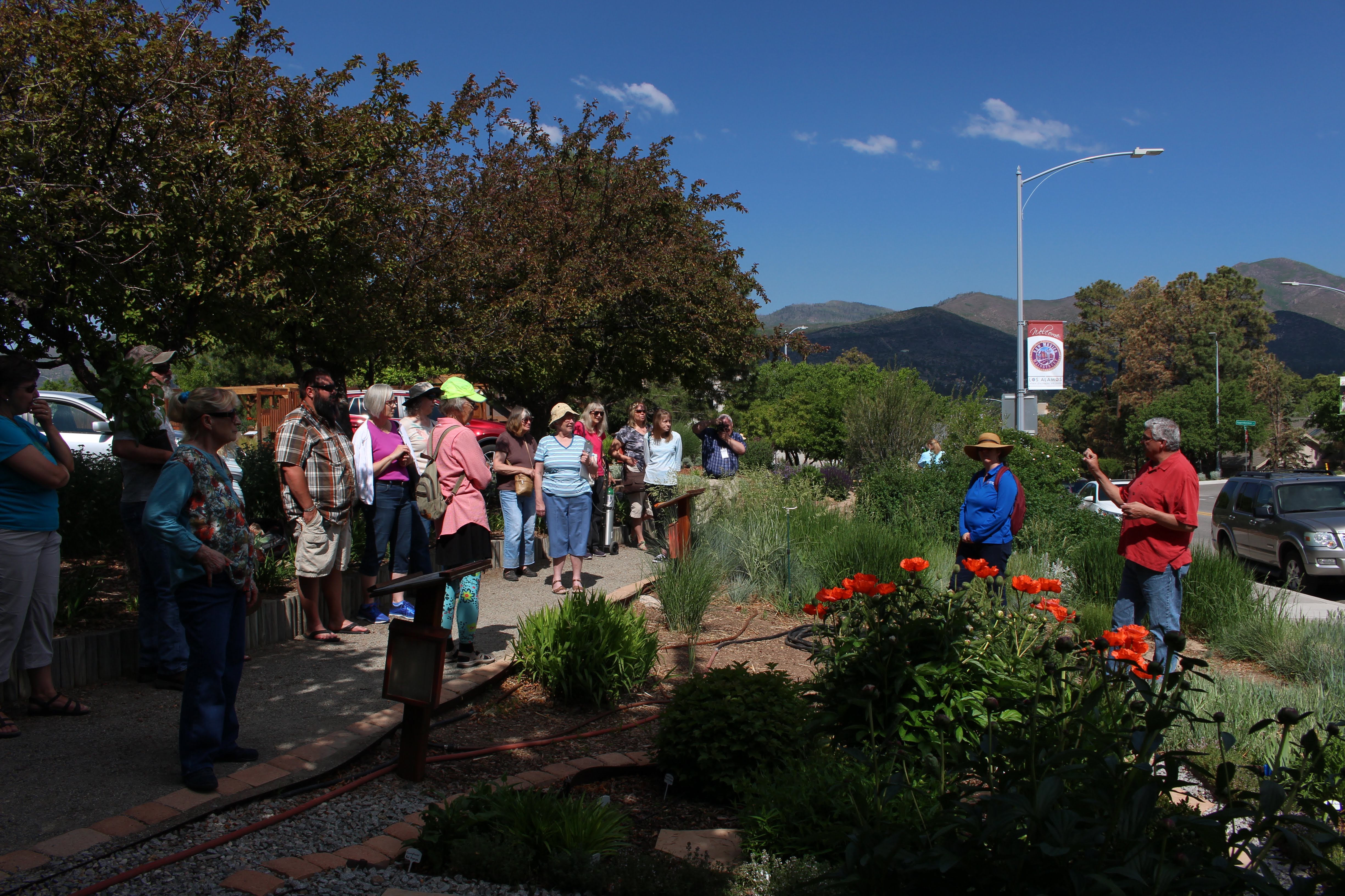 18.LAMGGardenFair2019M