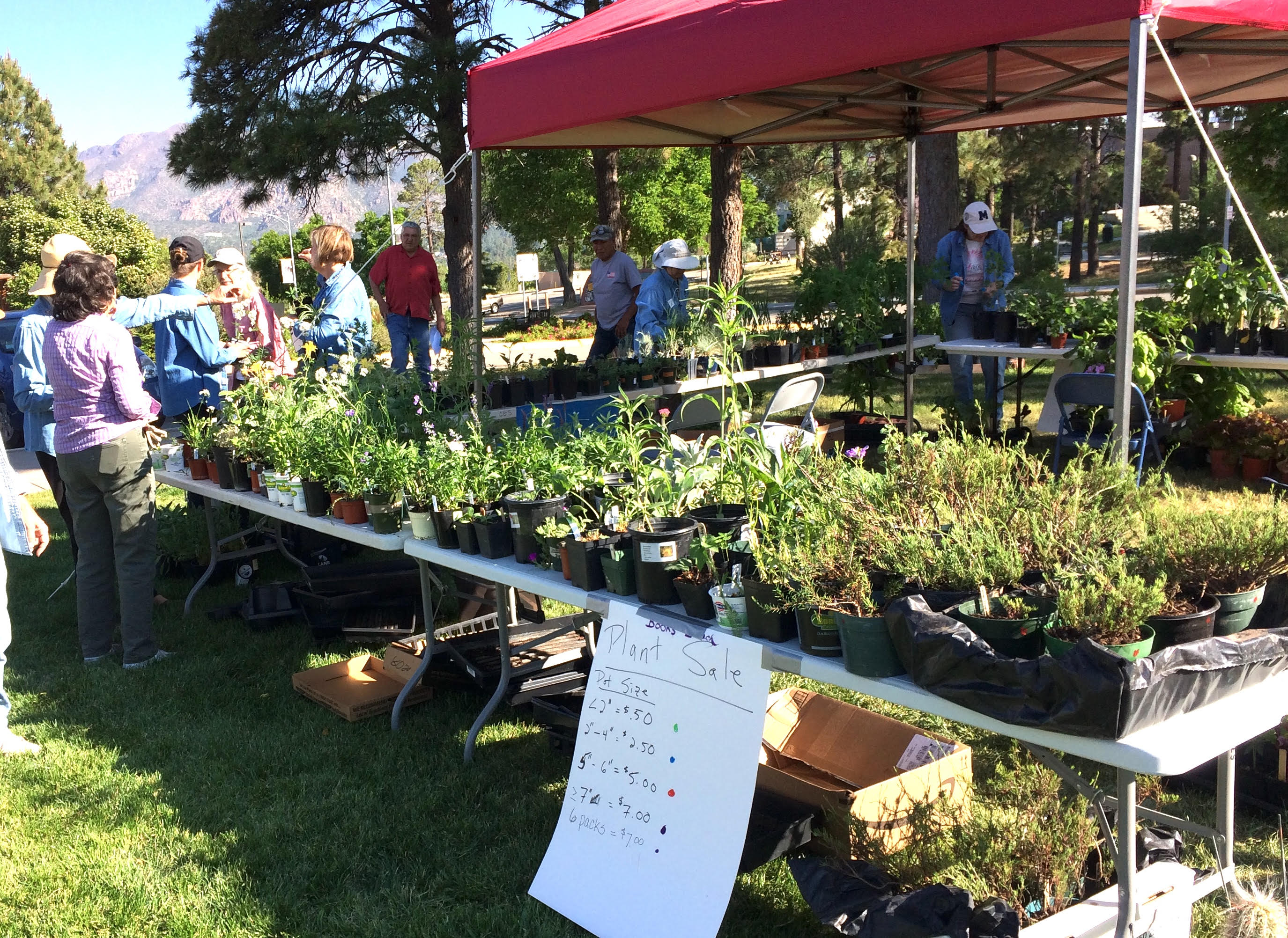 31.LAMGGardenFair2019M